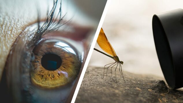 What Is A Macro Lens